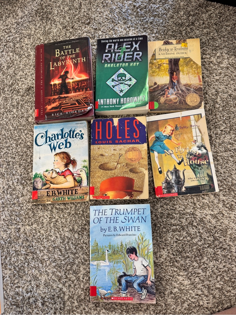 Scholastic Kids Book Lot - Green, Red, Blue, Yellow, Tan Covers